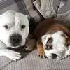 Andy Wass - @andy.wass - TikTok