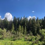 Andy Weiss - @andy_weiss - Instagram