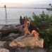 Andy Weiss - Facebook