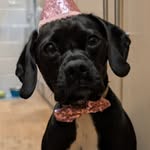 Andy Welch - @andywelch4478 - Instagram