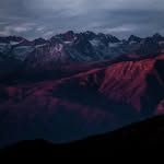 Andy Wenzel - @andywenzel49 - Instagram