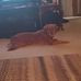Andrea AJ Westberry - Facebook