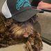 Andrew Westberry - Facebook