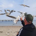 Andy Westphal - Facebook