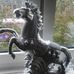 Andy Whitten - Facebook