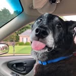 Andy Whitten - @whitten.andy - Instagram