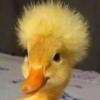 andy_whitten - @andy_whitten - TikTok