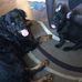 Andrea Willetts - Facebook