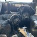 Andy Willetts - Facebook