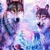 andywilletts303 - @andywilletts303 - TikTok