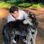 Andy Witham - @andy.coddy - Instagram