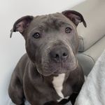 Andy Withers - @adwithers0 - Instagram