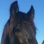 Andy Withers - @andy.withers.562 - Instagram