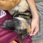 Andy Wolfe - @maybeitsanderson - Instagram