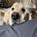 Andy Wolfe - Facebook