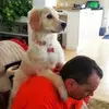 andywolfe42 - @andywolfe42 - TikTok