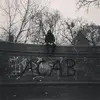 Andy Wolter - @andyaw - TikTok