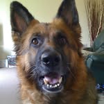 Andy Woodhead - @777thetemplar - Instagram
