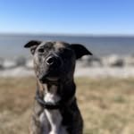 Andy Woodhead - @woodhead.andy - Instagram