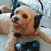 Andrew Woolley - Facebook