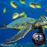 Andy Workman - @andy.workman.737 - Instagram