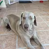 andyworkman695 - @andyworkman695 - TikTok