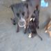 Andy Wotto - Facebook
