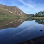 Andy Wynne - @andywynney - Instagram
