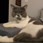 Andy Yeh - @andy.yeh - Instagram