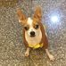 Andy Yeh - Facebook