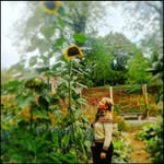 Ane Johnsen - @gaiastova - Instagram