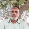 Aneel ali - @aneel.ali8 - TikTok