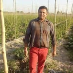 Aneel javed - @aneeljaved23 - Instagram