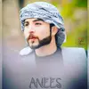 Anees Ibrahim - @aneesibrahim333 - TikTok