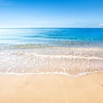 Aneesh Bhatia - @kallumama - Instagram