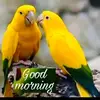Aneesh Kumar - @aneesh.kumar962 - TikTok