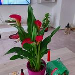 Anette Müller - @19anette81 - Instagram