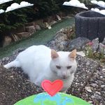 Anette Müller - @anette6817 - Instagram