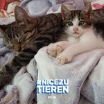 Anette Müller - @anette.muller.9022 - Instagram