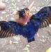 Attola Ange Martial N'dri - Facebook