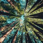 Angel Ables - @peacefulsurrounds - Instagram