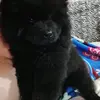 Angel_Adrian - @angel_adrian87 - TikTok
