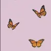 🦋De todo un poco🦋 - @angela.gar1 - TikTok