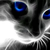 user6137669811782 - @angelagar0 - TikTok