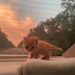 Angel Agaton - @agaton_133 - Instagram