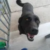 Angel Alcon - @angelalcon0 - TikTok
