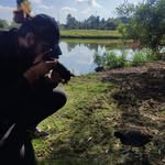 Angel Alejandre - @sparverius_pics - Instagram