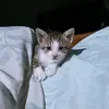 Angel Alejo - @angelalejo64 - TikTok