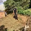 Angel Alejo - @angel.alejo30 - TikTok