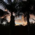 Angel Alejo - @angel2dumb12 - Instagram